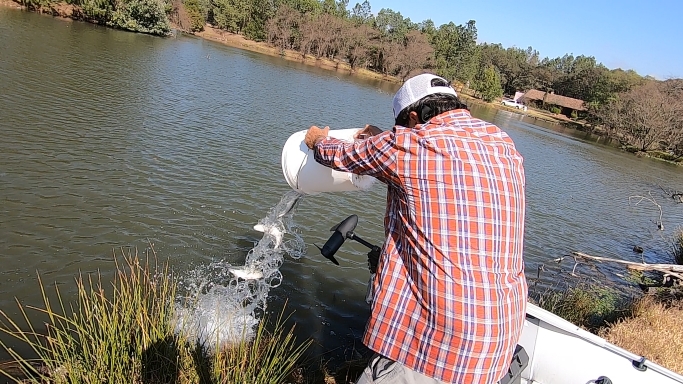 Captura de pantalla (771).png Captura de pantalla (771).png